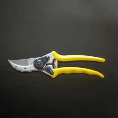 Wicked Hand Pruner